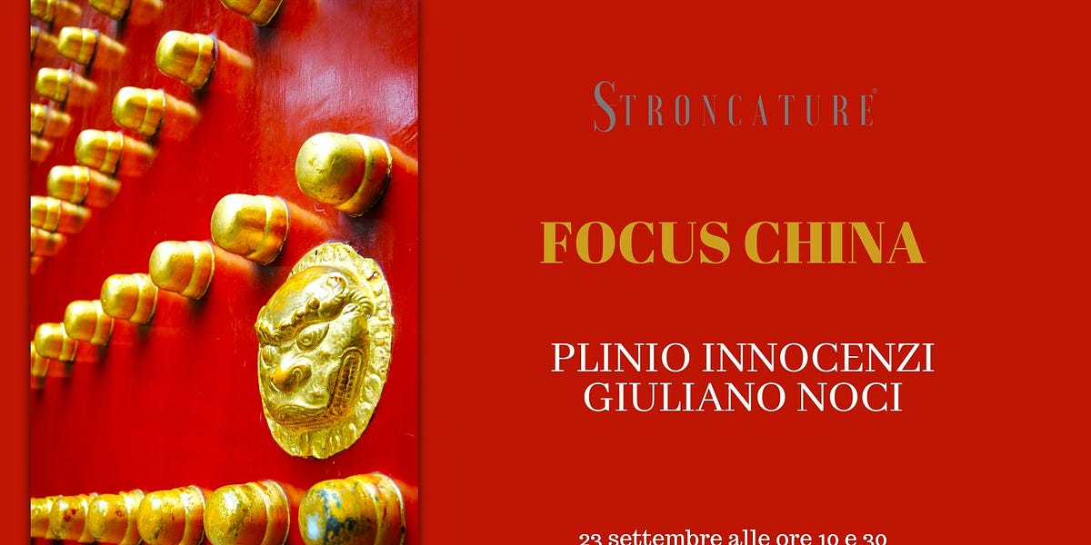 "Focus China" di Plinio Innocenzi - Stroncature