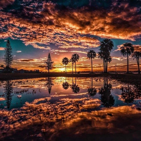 Suspended prior year passive losses v. current year nonpassive activity