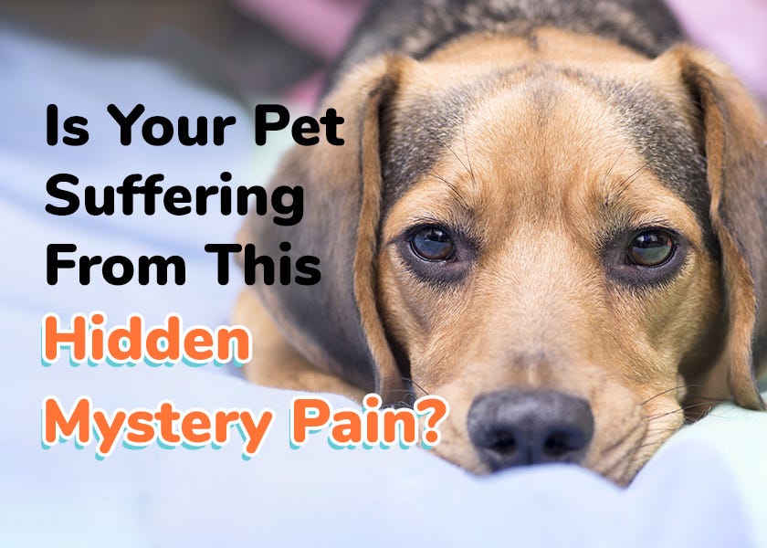 Is parvo painful online