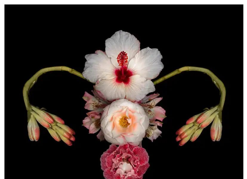 Cyclical Discomfort - by Elliott - Revelation of Fire