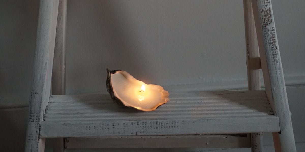 On Oysters, Part 2 From the Desk of Alicia Kennedy