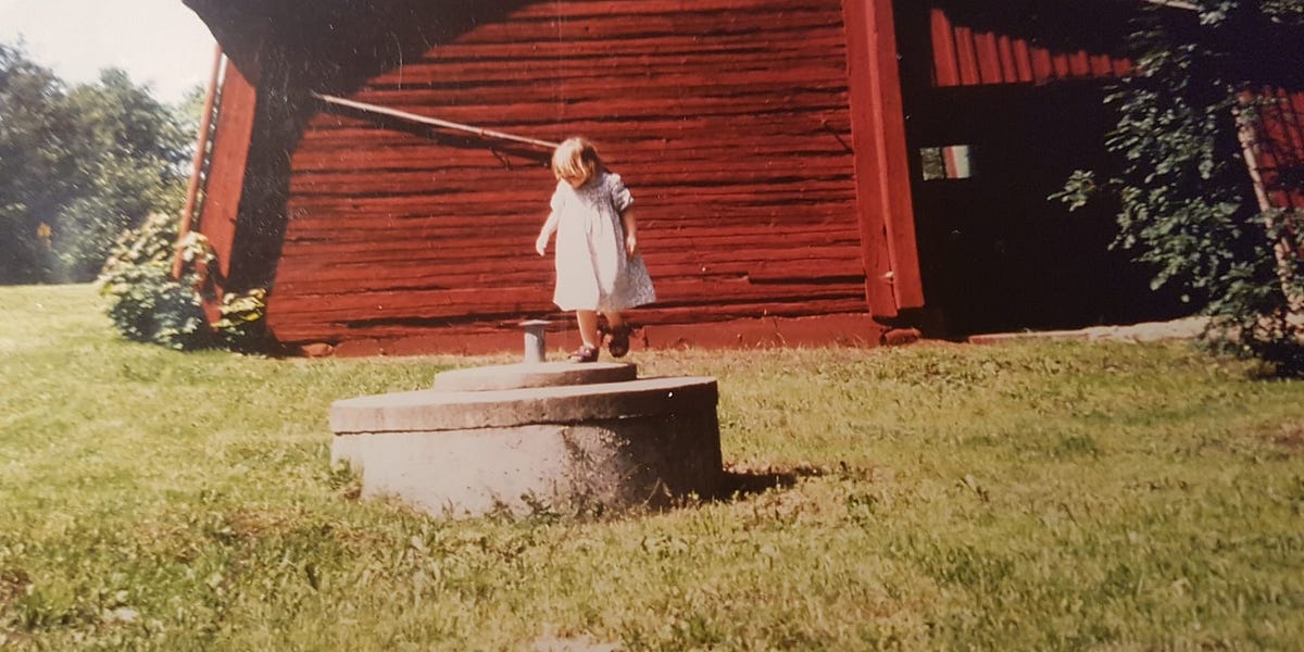 Stille Heimat Wie sich mein Schweden verändert hat