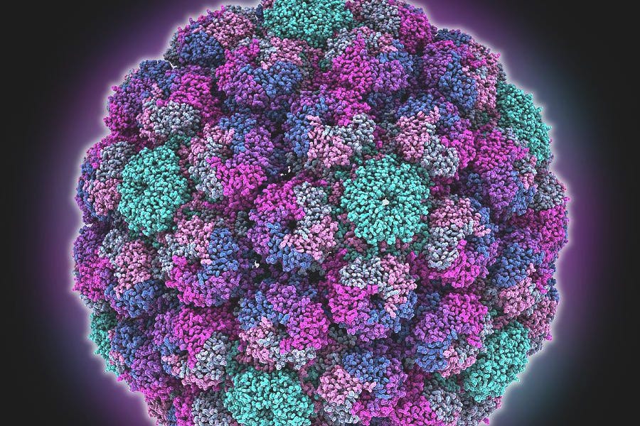 New virus found by WIV scientist in Kenya - by Moriarty