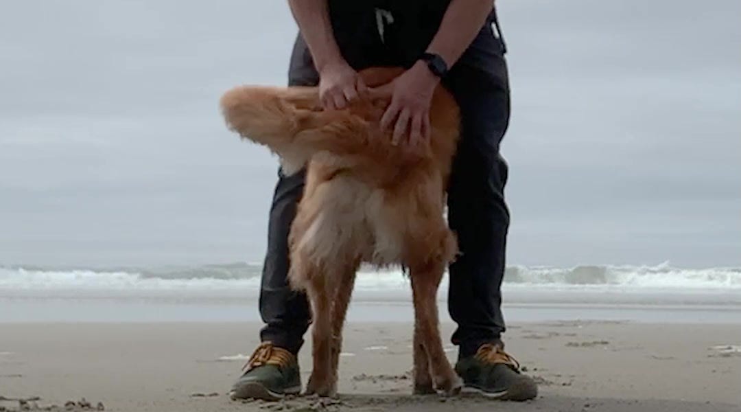 TikTok’s Nala is more than just her stomps
