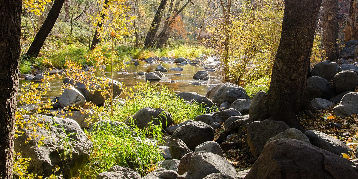 Escape to the Arizona Wilderness: A Guide to Manzanita Campground