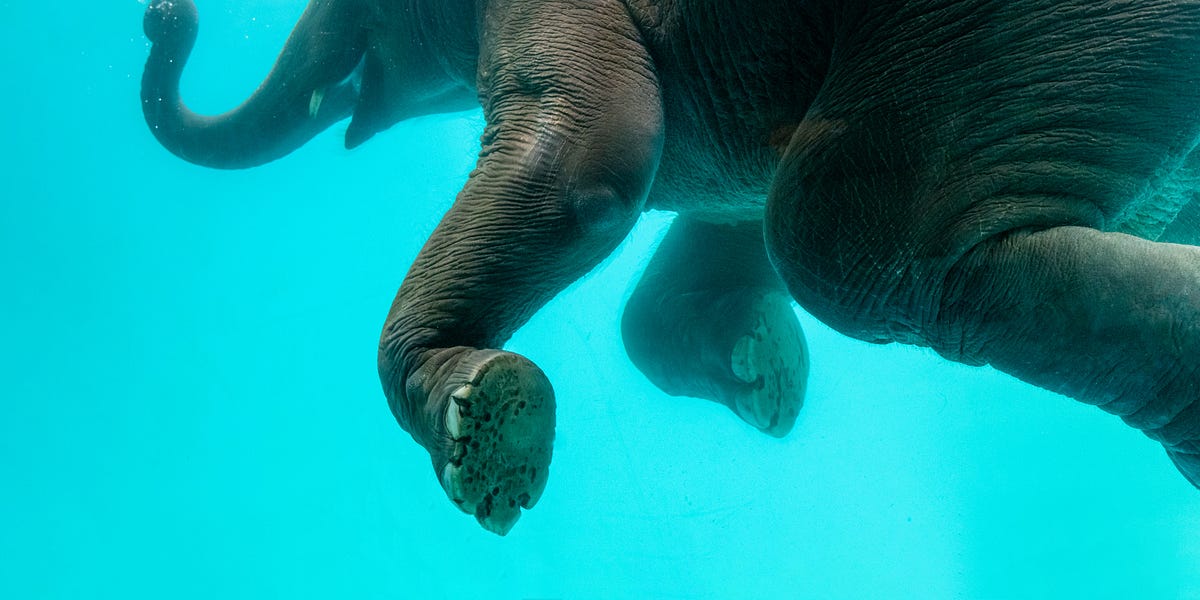 Here’s How The Top Stock Picking Services Performed in 2021 and 2022