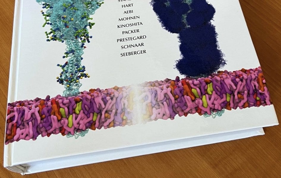 Essentials of Glycobiology by Moriarty