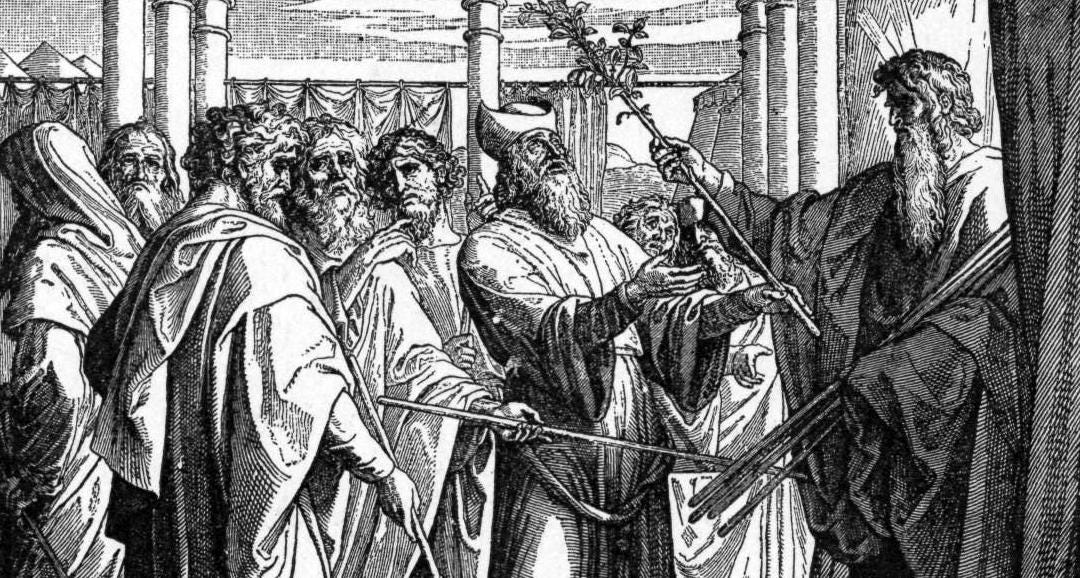 The Biblical Significance of Almonds by Skyler Burgess