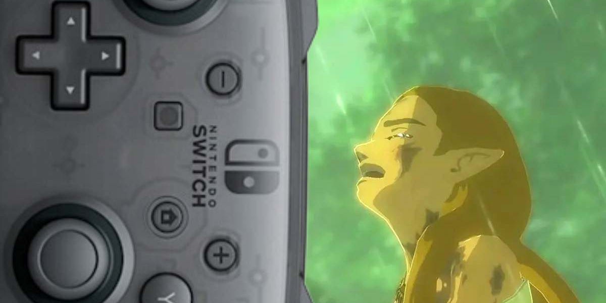 Best controller for zelda store breath of the wild