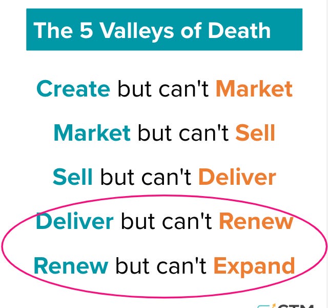 SaaS Valley of Death is here. Are you prepared for it?