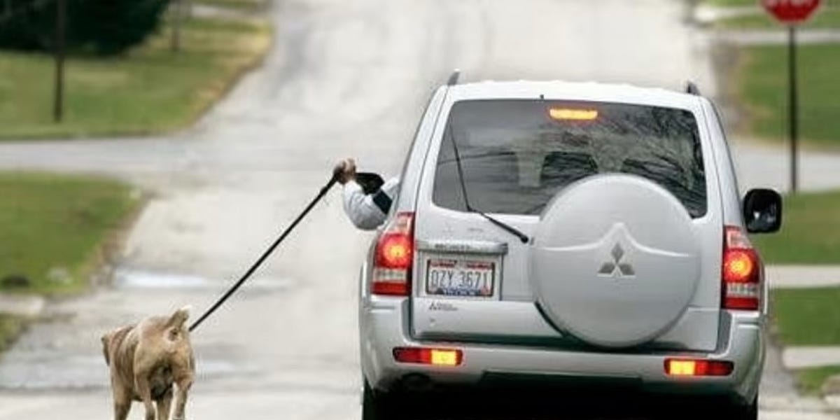 how-america-s-love-affair-with-cars-drove-it-to-become-the-most-obese