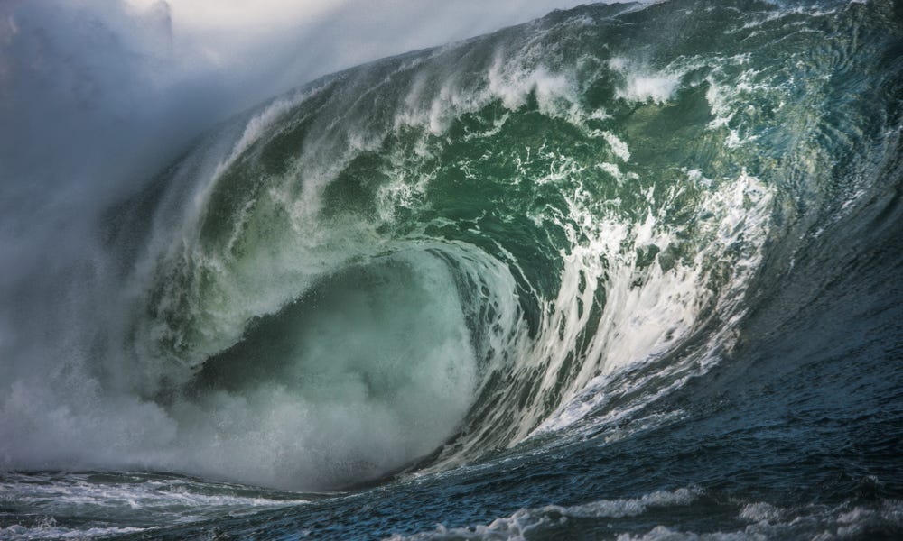 Wave 2 Sports Betting Does Fanatics Have What It Takes?