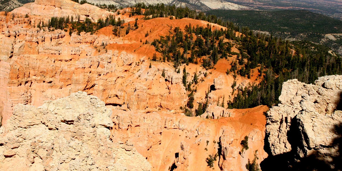 Metal Detecting Laws in America by F.W. Pandozzi