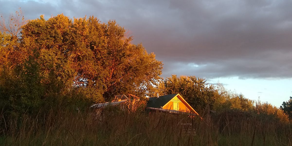 Garlic Planting, Pannage, and the Killing Frost