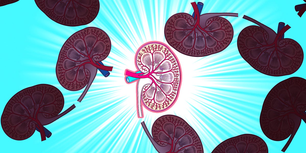 Infinite Scroll Special Edition Kidney Donation