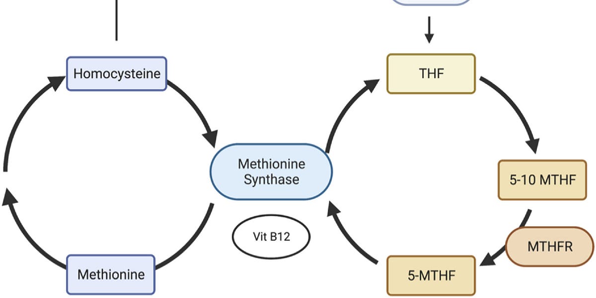 Ehlers Danlos Syndrome Update BioMedWorks’ Newsletter