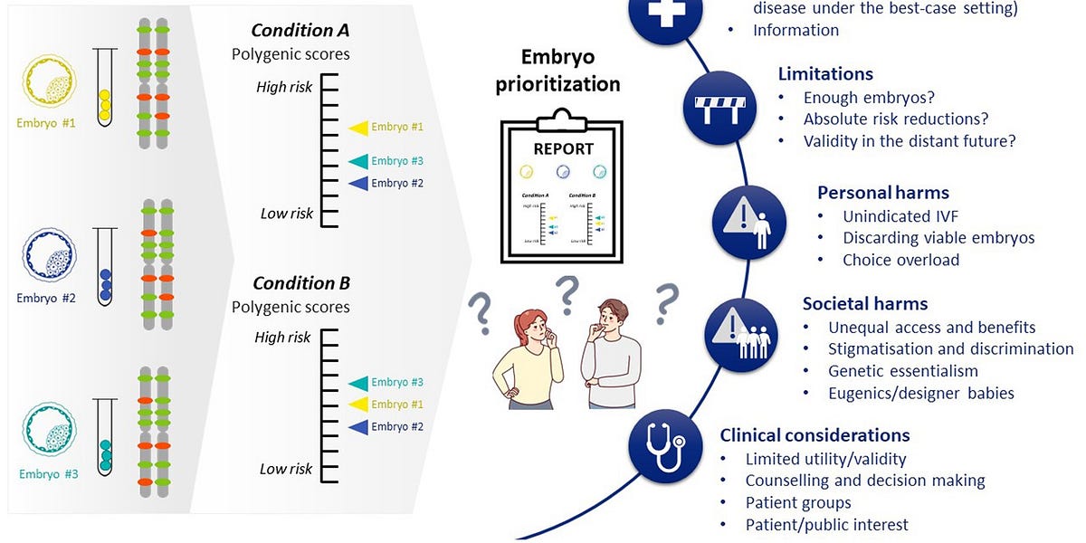 Polygnic Design Repronews #35: A European review of polygenic screening