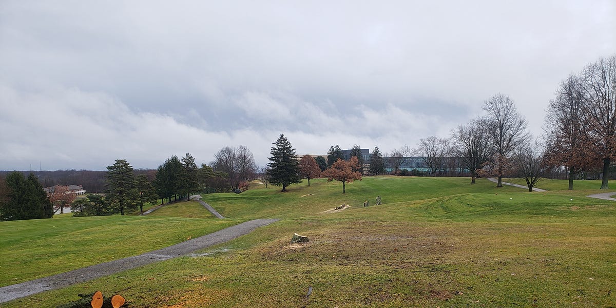 Tree Removal by Summit Hills Country Club