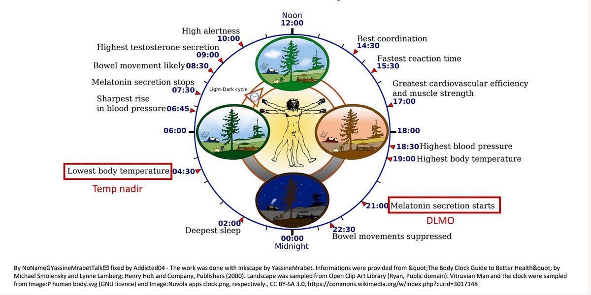 Is Your Circadian Rhythm Out of Wack? by Tammy Roesch