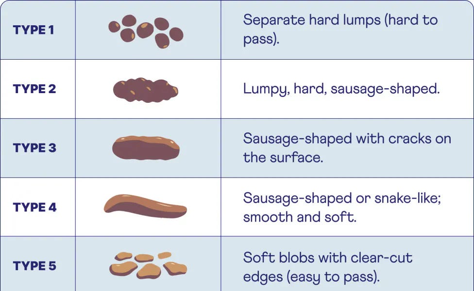 WHAT IS POOP ? and WHY DO WE FEEL GOOD WHILE POOPING ? WHY DO WE HAVE