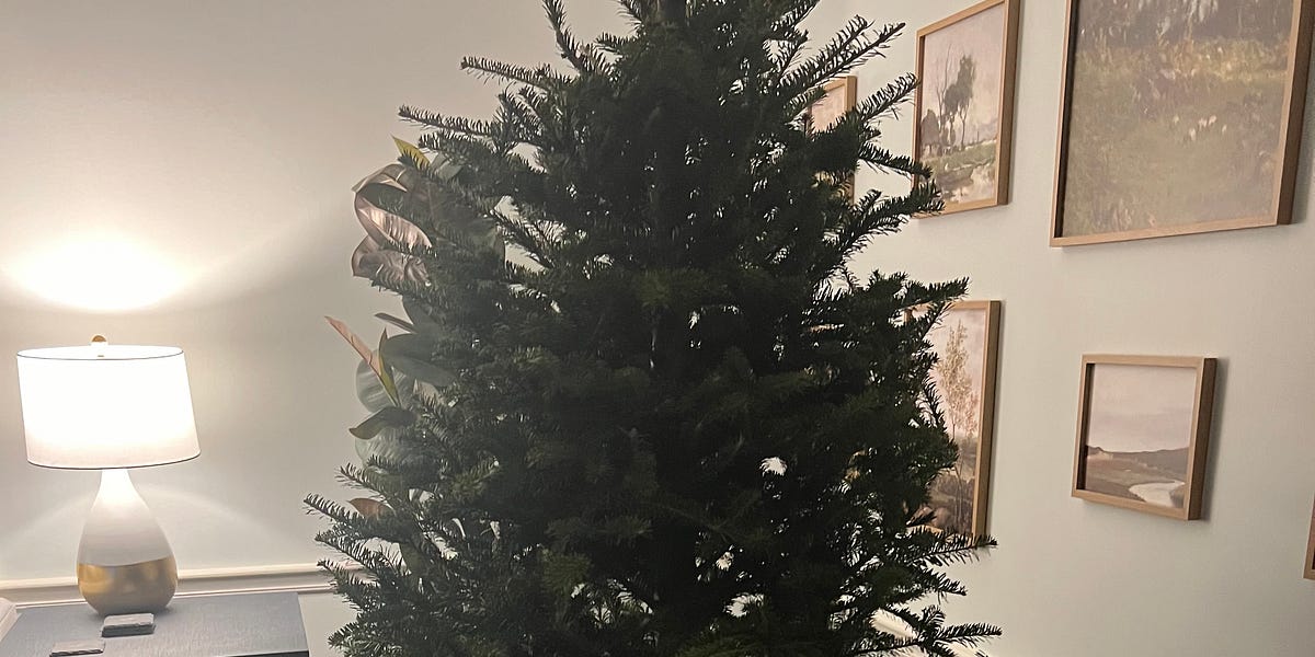 Taking Down the Christmas Decorations by Kimberly Kearns