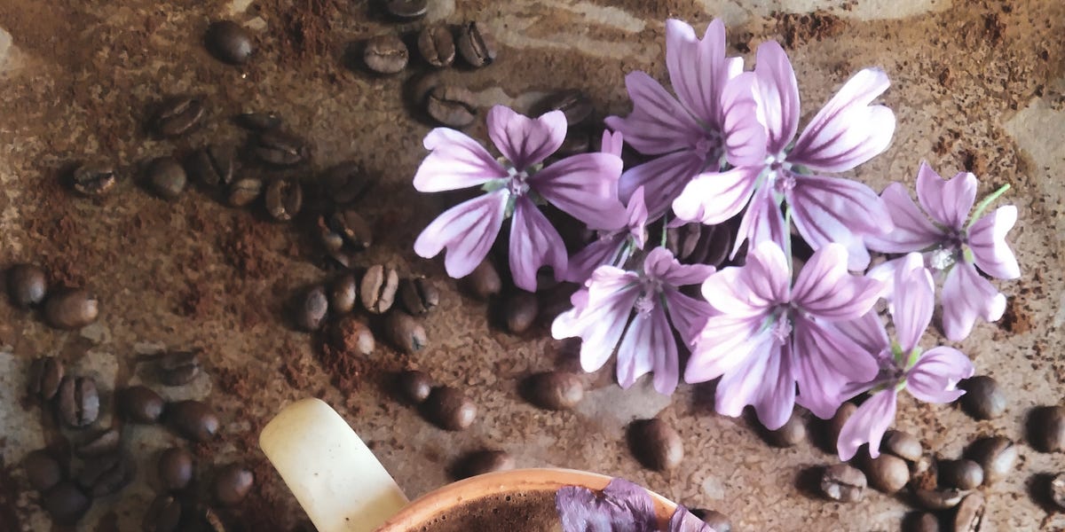 A cup of coffee. by pakou Pa’s Substack