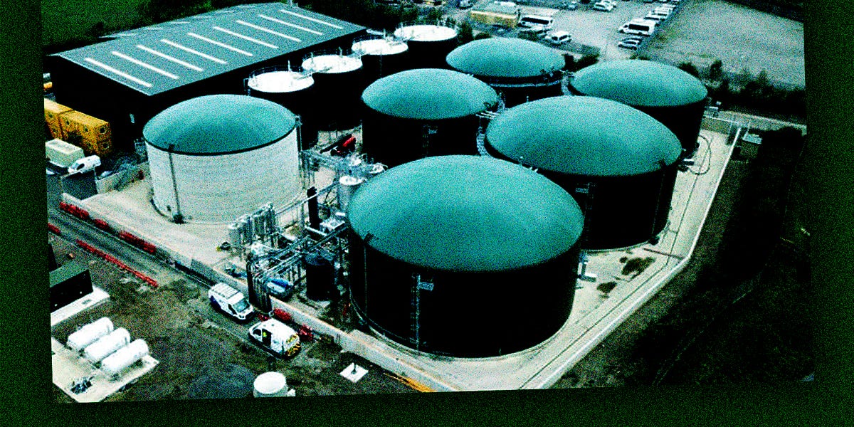 Bad gas from perfectly good food [WFJ 80] by Hugh Thomas