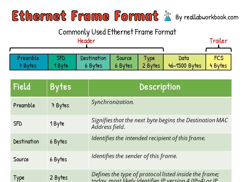 Frame Format by Rose White Real Lab Workbook