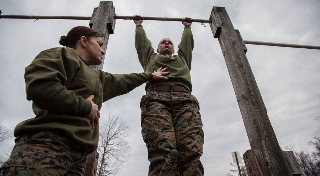 Stew smith pull ups clearance