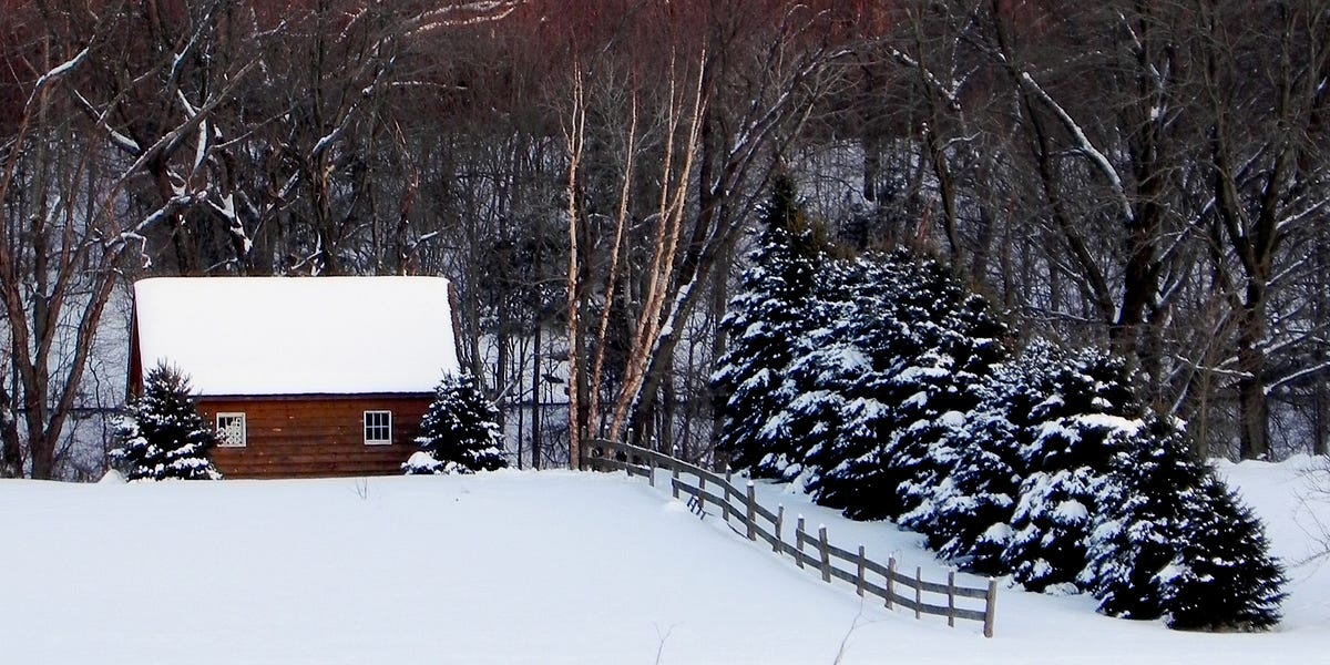 Saugerties Cabin by Alaina Ann Beautiful Escape