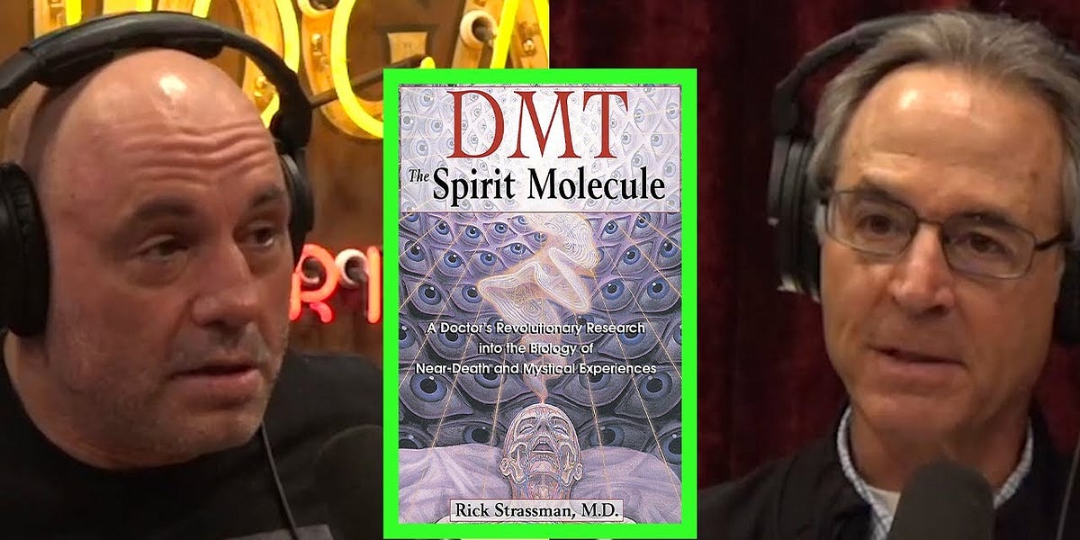 Joe Rogan, Rick Strassman & DMT - Dr. Jenny Martin