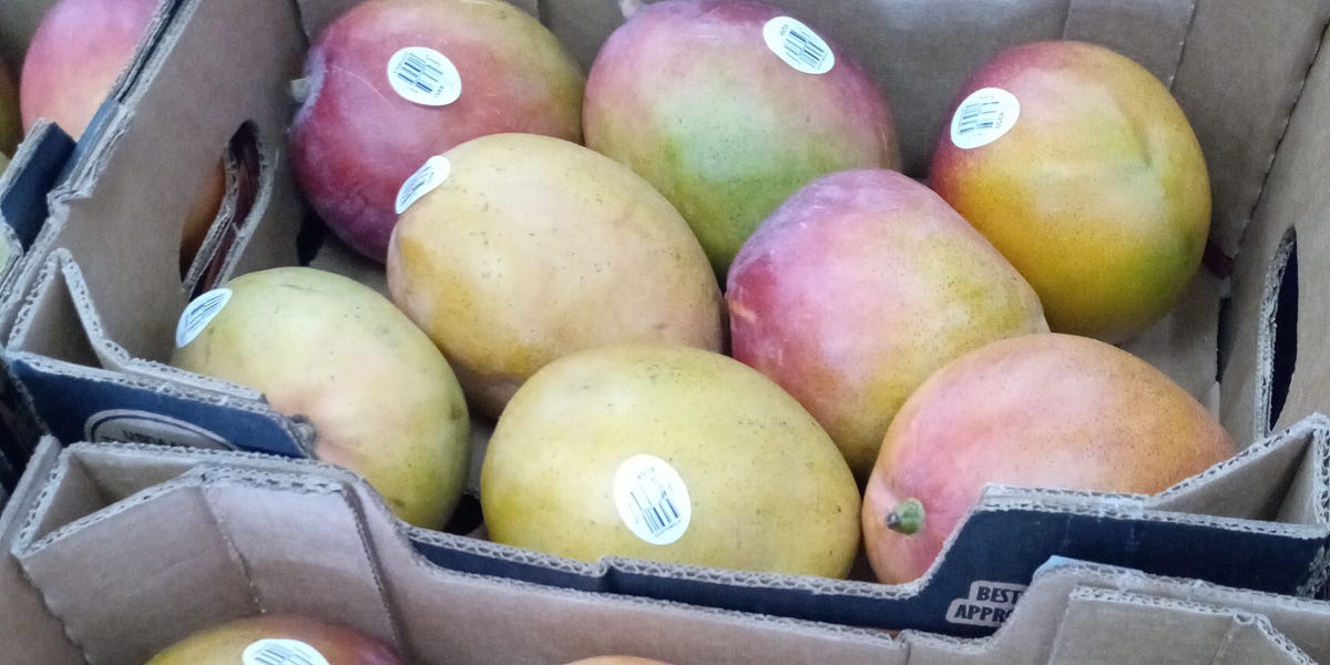 History of Mango Cultivation in Asia