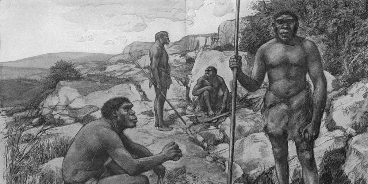 Sapiens: Chapter One - The First Section - by Tarif Hossain