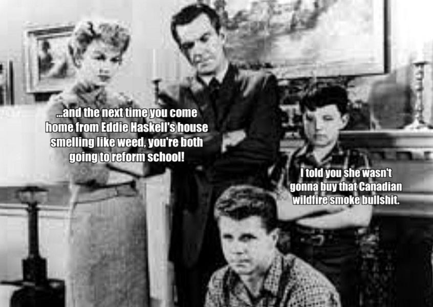 30 Days of June Cleaver Memes Day 7 PCS Nation