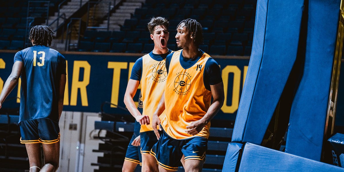 Cal V St Thomas Minnesota College Basketball Betting Odds And Lines cal-v-st-thomas-minnesota-college-basketball-betting-odds-and-lines