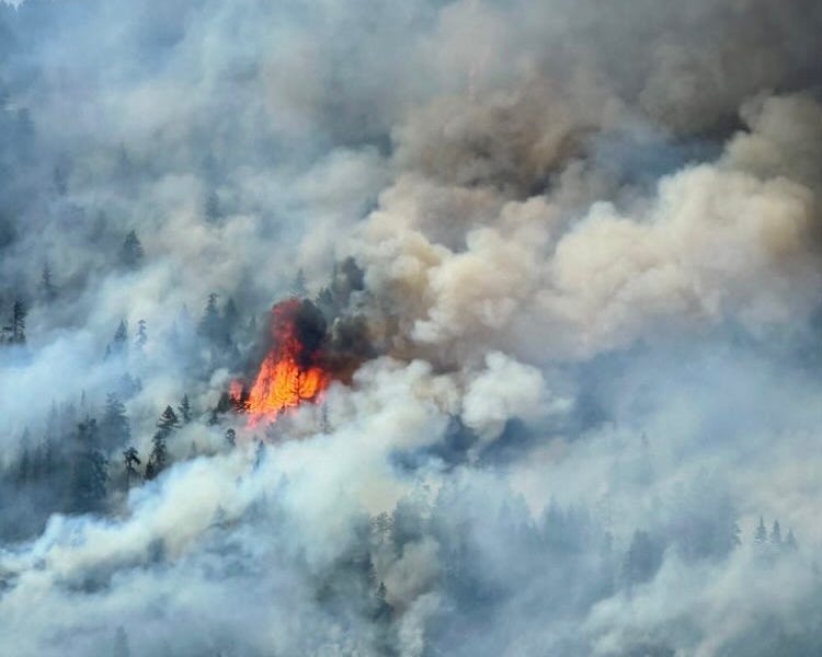 usda-provides-clarification-on-deferred-resignations-offers-binding