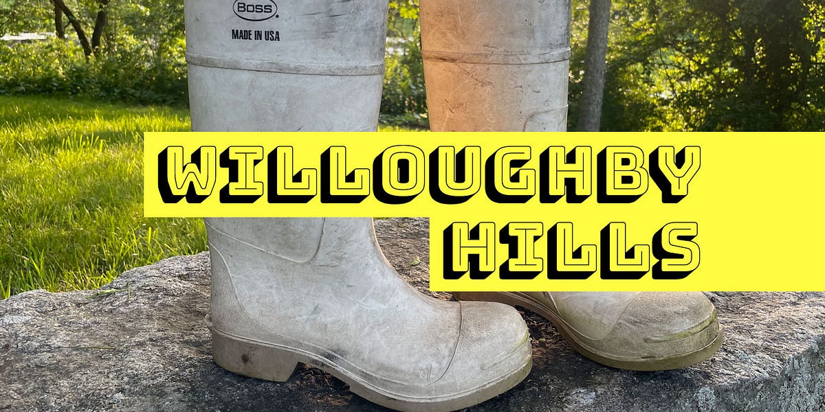 Shrimp boots near me online
