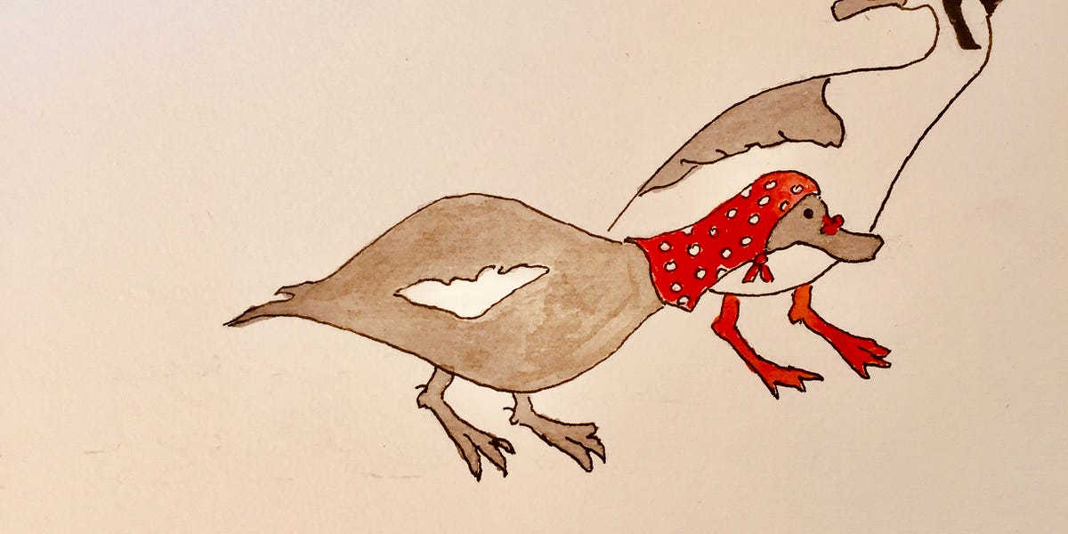 Why Do We Live Where We Live By Wayne Grady