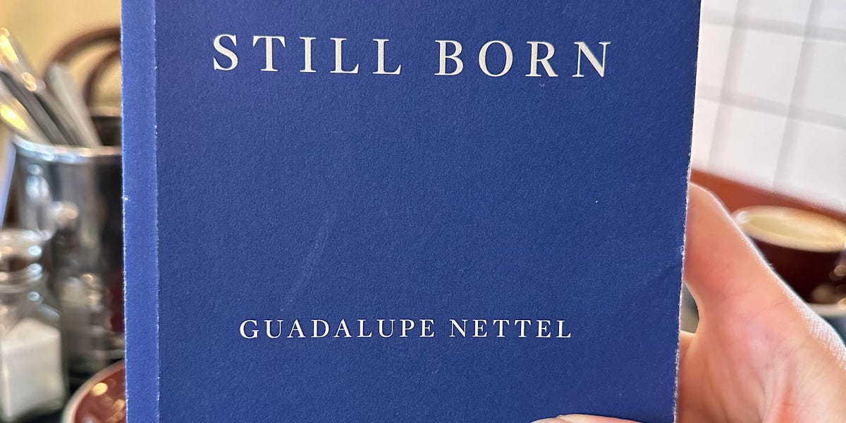 Book Thoughts: Still Born by Guadalupe Nettel