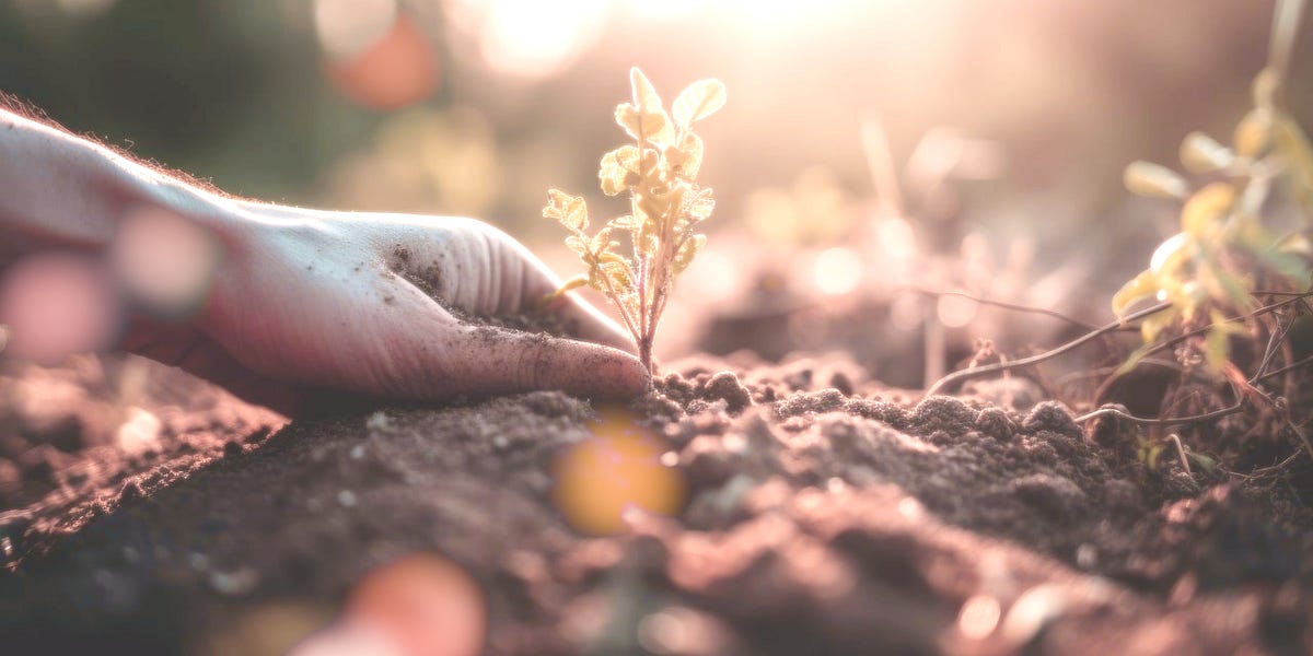 Incorrect Yokes by Rose Gärtnerin Rose’s Substack