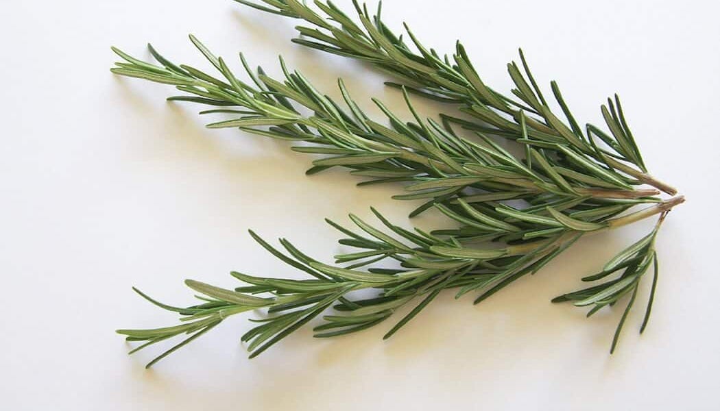 It's Rosemary.... Baby Food Is Medicine