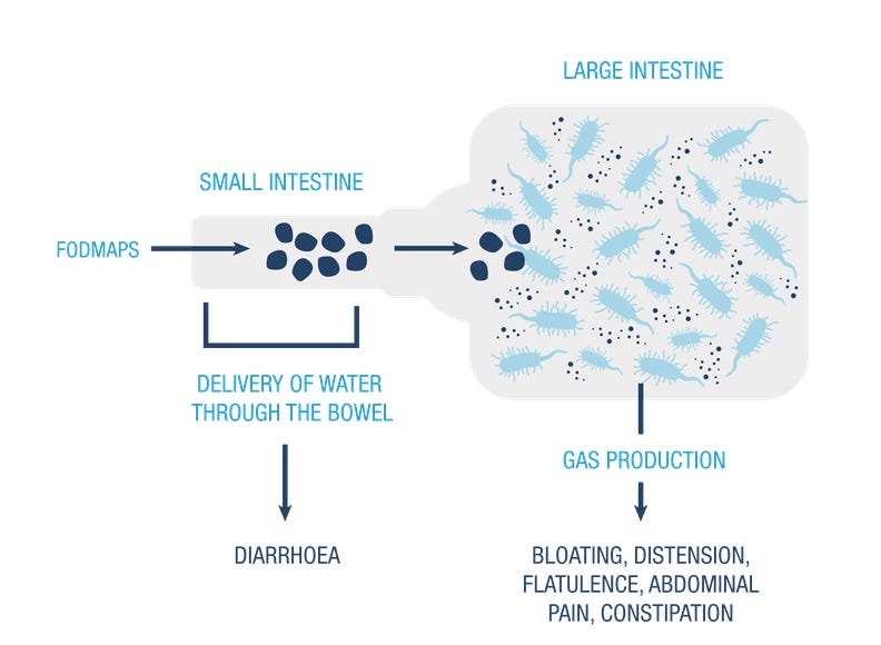 Personal Science Week 12 Jan 2023 by Richard Sprague