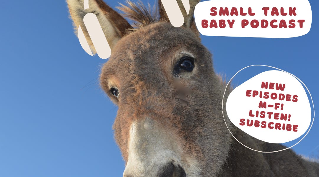 Peanut Butter Marmalade and Jam (PBMJ) by Pamela Groves