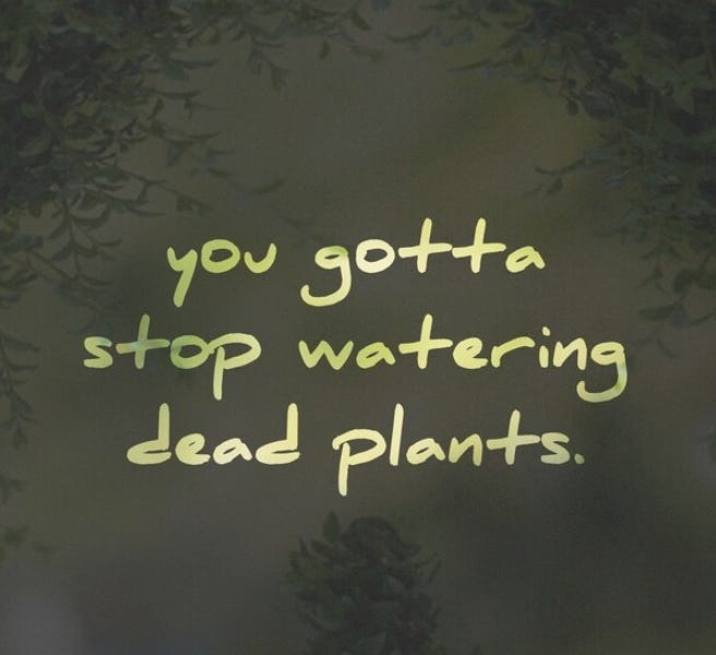 you-gotta-stop-watering-dead-plants