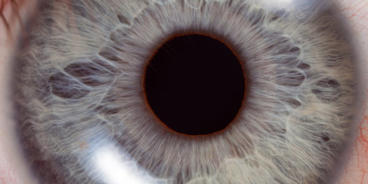 What is Sentience? - by Peter Sjöstedt-Hughes