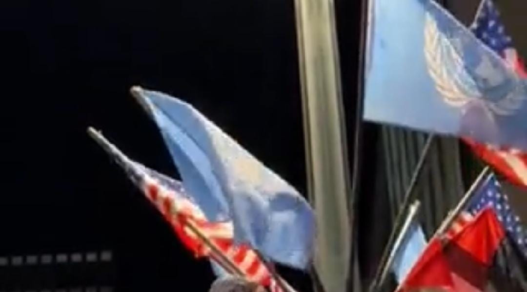 What are Pro-Palestine protesters thinking?