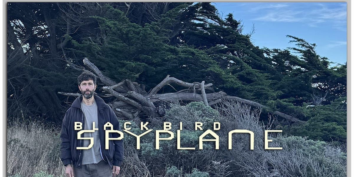 Comments - Be the wetlands - Blackbird Spyplane Comments - Be the wetlands - Blackbird Spyplane