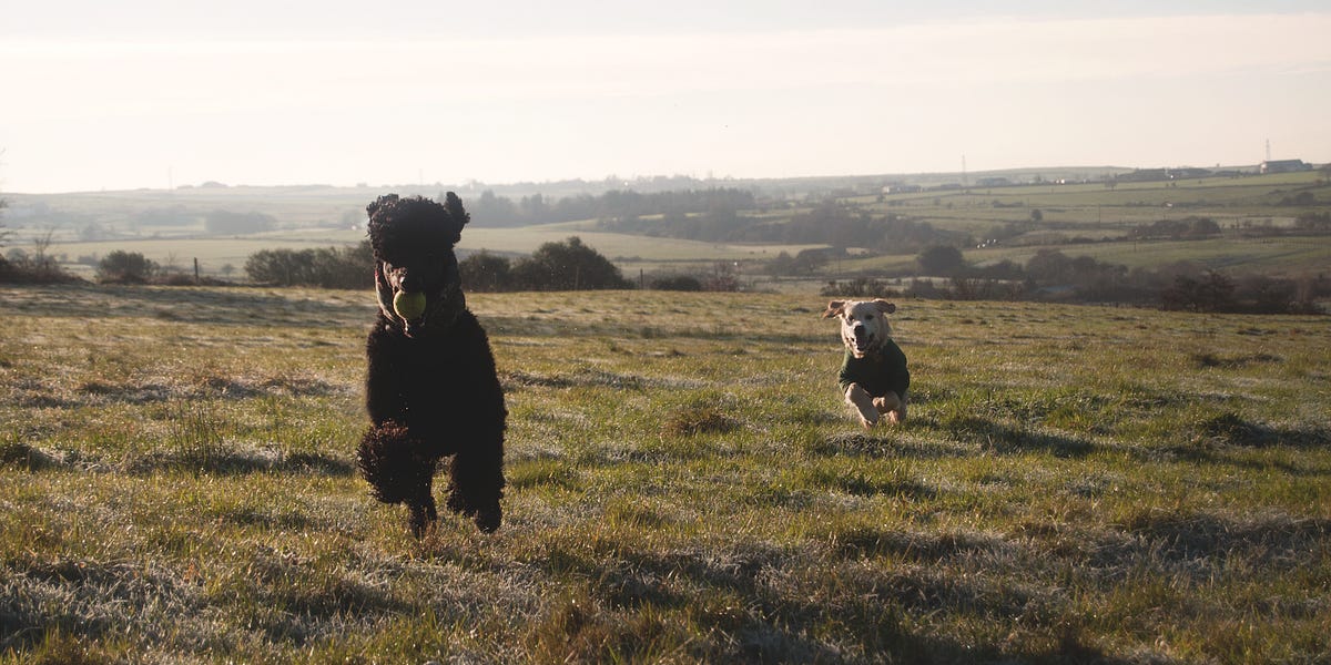 Adding to the Load - by Frēa walk with me - Frēa’s Substack