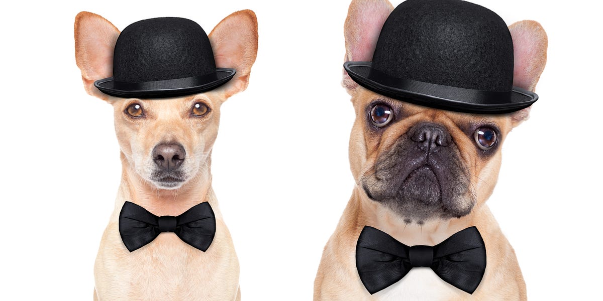 Cuckoo Dance Week Every Day's a Holiday at WMG