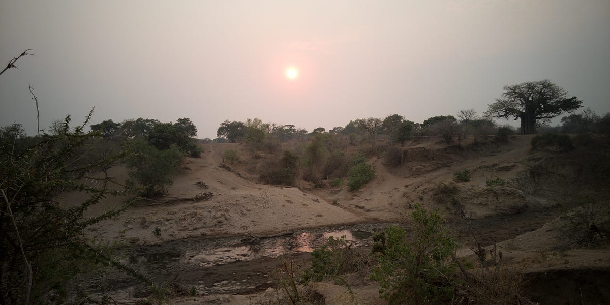 Experiencing the Amazing Chitake Springs in Mana Pools National Park in